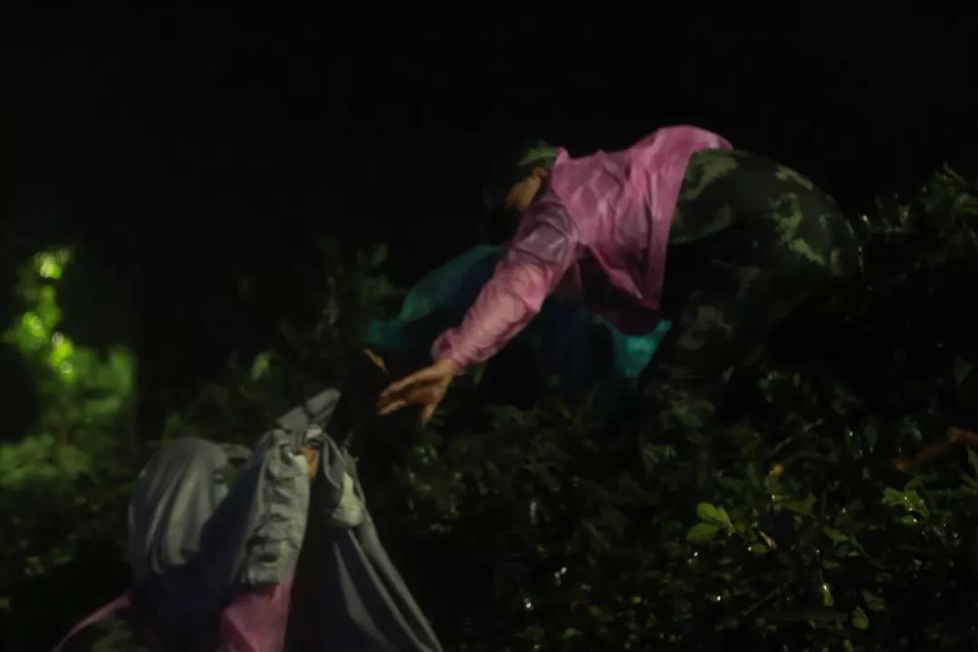 珠海不眠夜，格力整晚陪伴……