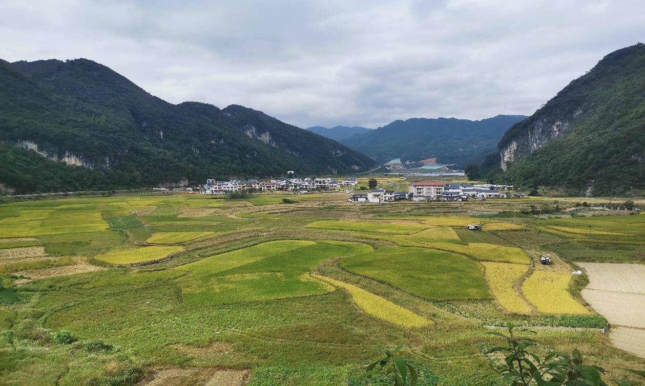 再度亮相第二十八届联合国气候变化大会——华电运营向世界讲述“绿色发展”故事